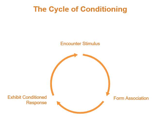 The Cycle of Conditioning