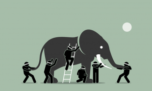 Graphic representing an elephant being described by 5 blind men explaining role of perception in life