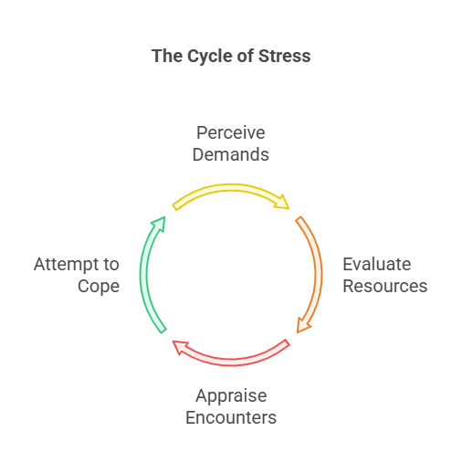 The Cycle of Stress