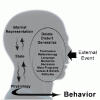 NLP Model of Communication: Unlocking Effective Interaction