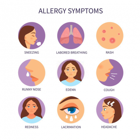 Graphic highlighting the different signs of allergy