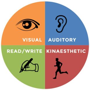 Graphic including different learning styles of clients that can be used in Client-Centered Coaching and therapy Approach 