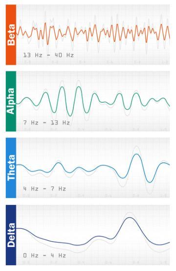 Graphical representation of mental activity in different states of mind