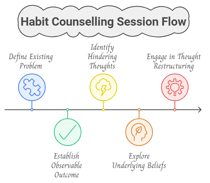 habit counselling session flow infographic