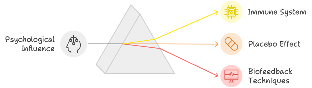 Graphic representing how mind and body are interlinked is explained via studies on immune system, placebo effect and biofeedback techniques